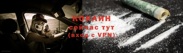 дмт Абаза