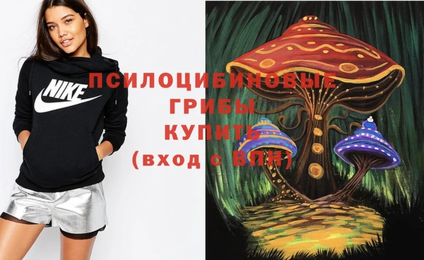 ГАЛЛЮЦИНОГЕННЫЕ ГРИБЫ Пестово