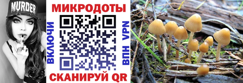 блэк спрут tor  Советск  Галлюциногенные грибы GOLDEN TEACHER 