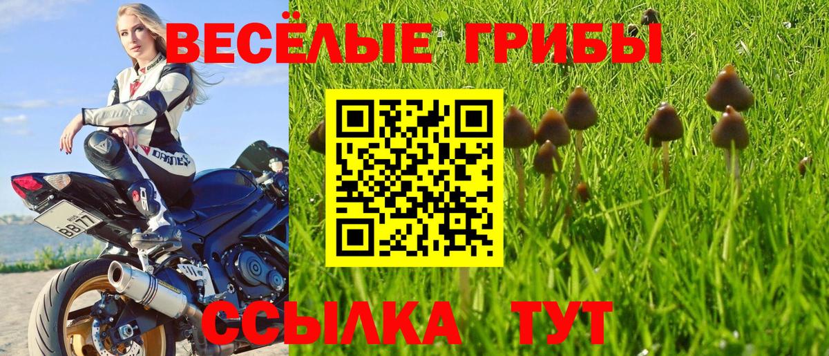 Псилоцибиновые грибы Magic Shrooms Советск