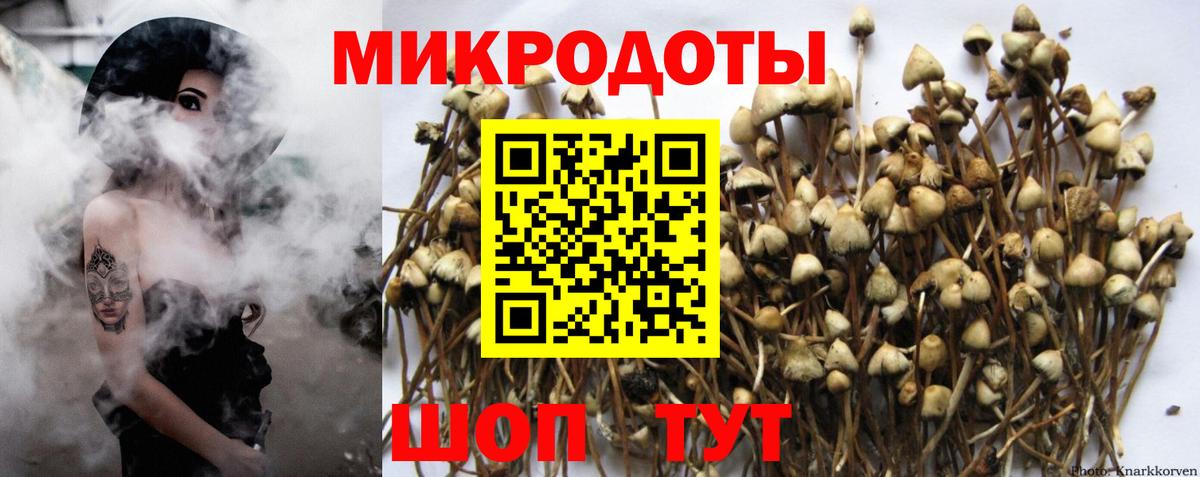Советск  Галлюциногенные грибы MAGIC MUSHROOMS  Вход с VPN  Псилоцибиновые грибы GOLDEN TEACHER 